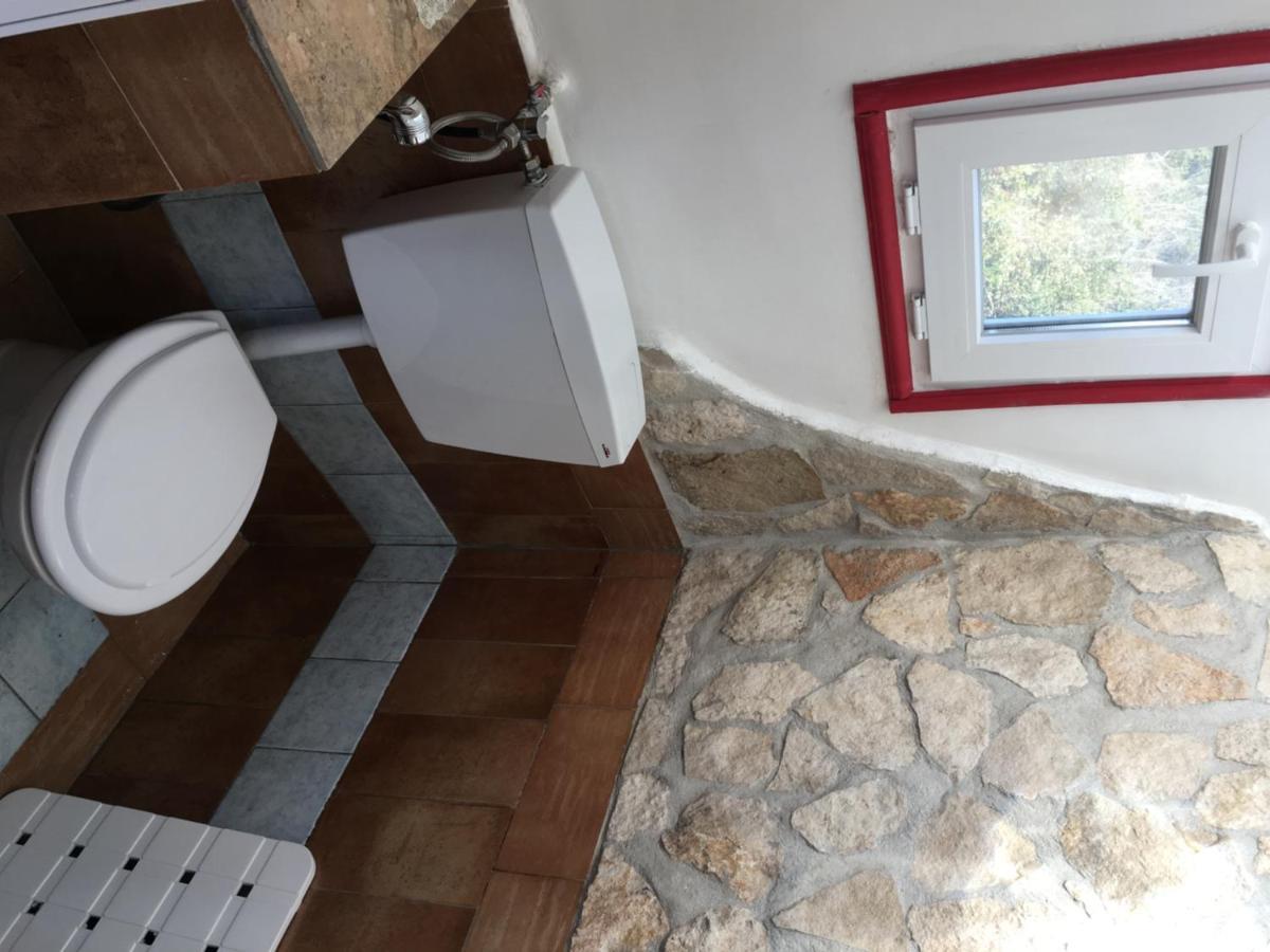 Bed and Breakfast Camilla House Santa Marinella Zewnętrze zdjęcie